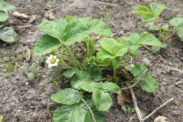 Similar image 21469698