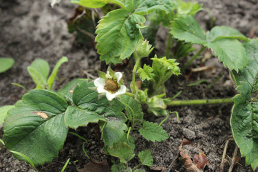 Similar image 21469699