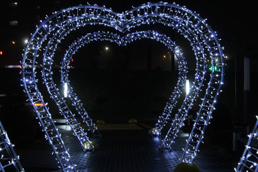 Similar image 21469730