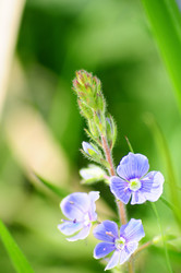 Similar image 21463013