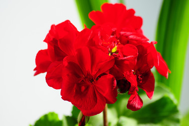 Similar image 21463014