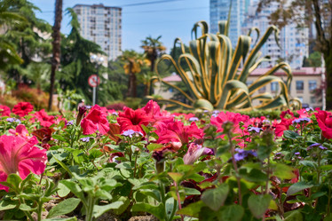 Similar image 21464904