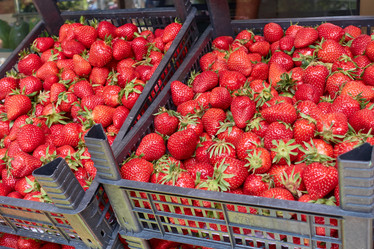 Similar image 21464906