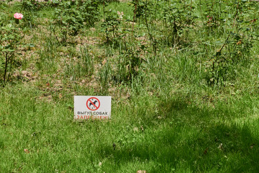 Similar image 21464909