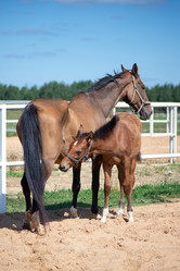 Similar image 21467750