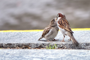 Similar image 21465743