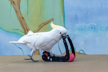 Similar image 21467753