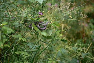 Similar image 21467754