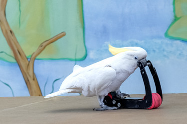 Similar image 21467755