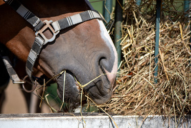 Similar image 21467758