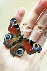 Similar image 21467759