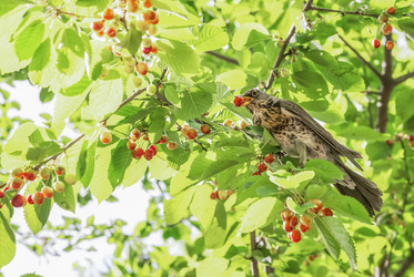 Similar image 21465746