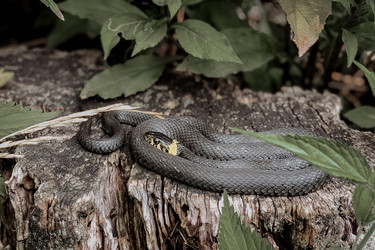 Similar image 21467760