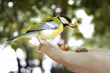 Similar image 21467761