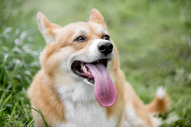 Similar image 21465747