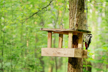 Similar image 21465748