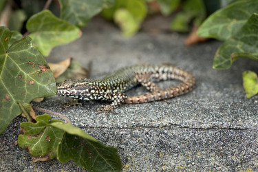 Similar image 21467762