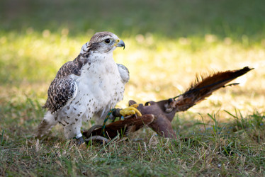 Similar image 21465750