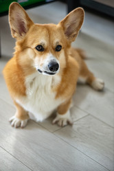 Similar image 21467763