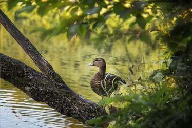 Similar image 21465751