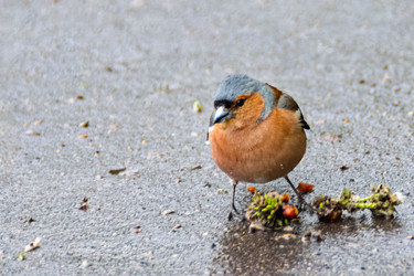 Similar image 21465752