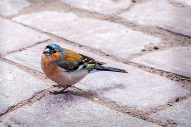 Similar image 21465753