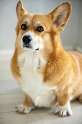 Similar image 21465754