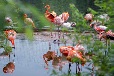 Similar image 21467765