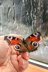 Similar image 21467767