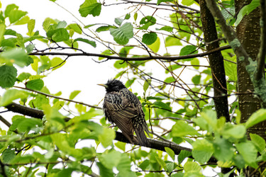 Similar image 21465756