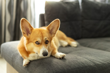 Similar image 21467769