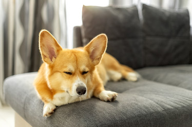 Similar image 21467771