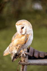 Similar image 21467772