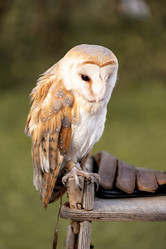 Similar image 21465757