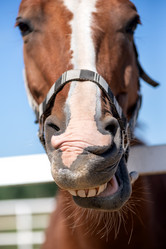 Similar image 21465758