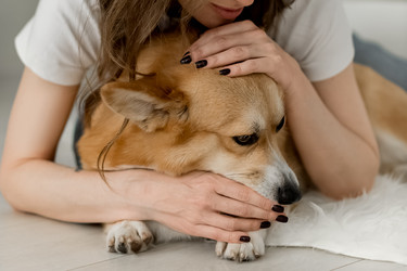 Similar image 21465760