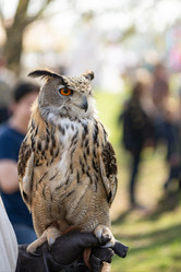 Similar image 21467386