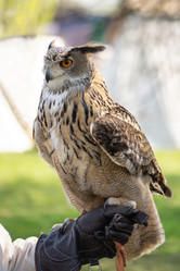 Similar image 21465761