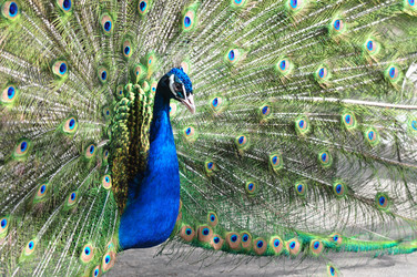 Similar image 21465763