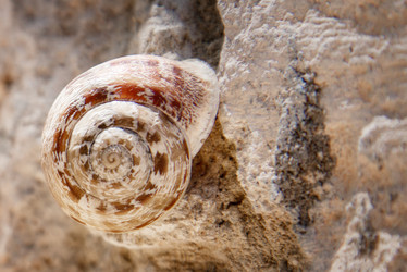 Similar image 21465765