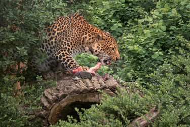 Similar image 21465767