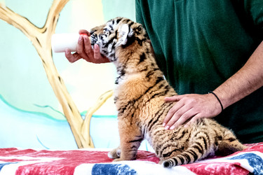 Similar image 21467387