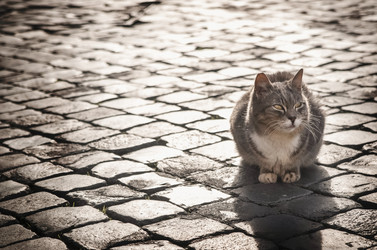 Similar image 21467391