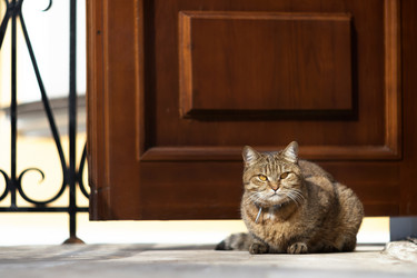 Similar image 21467392