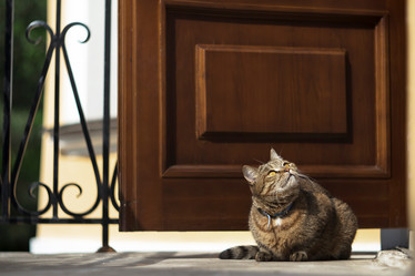 Similar image 21467393