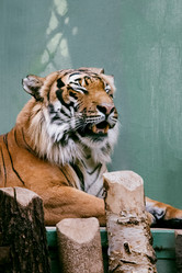 Similar image 21467397