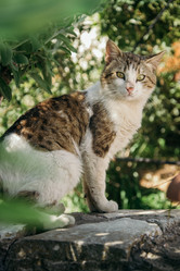 Similar image 21465769