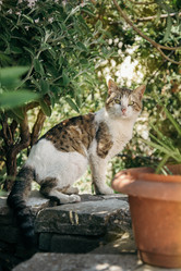 Similar image 21467399