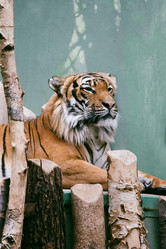 Similar image 21467400