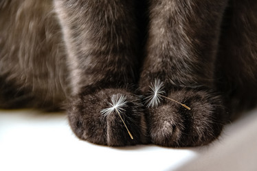 Similar image 21465773